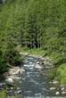 20060614_094859 Torrente Febbraro.jpg